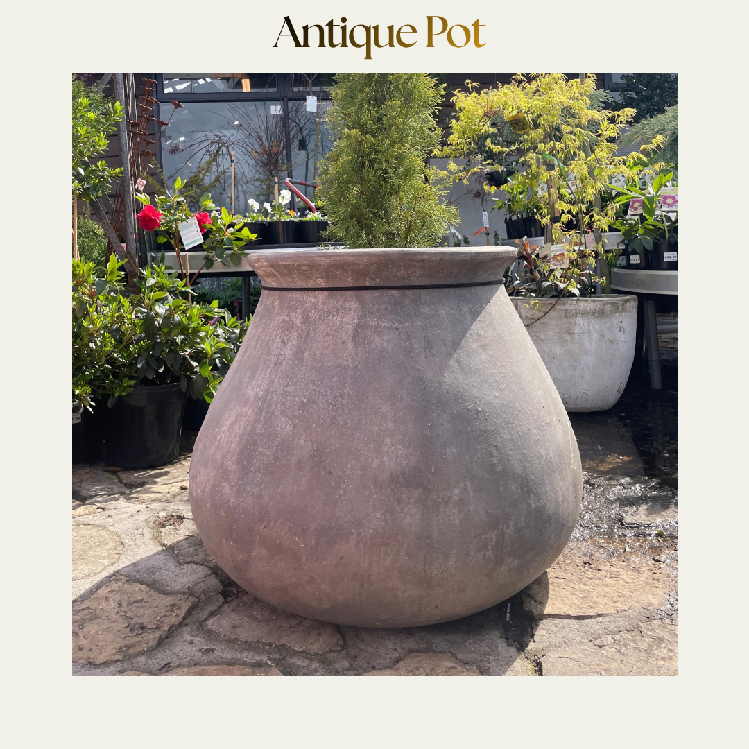 Tulip-shaped Antique Pot