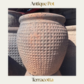 Tuscan Terracotta Pot