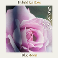 Hybrid Tea — Blue Moon