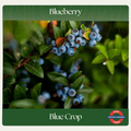 Blueberry — Blue Crop