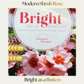 Modern Shrub — Bright As A Button