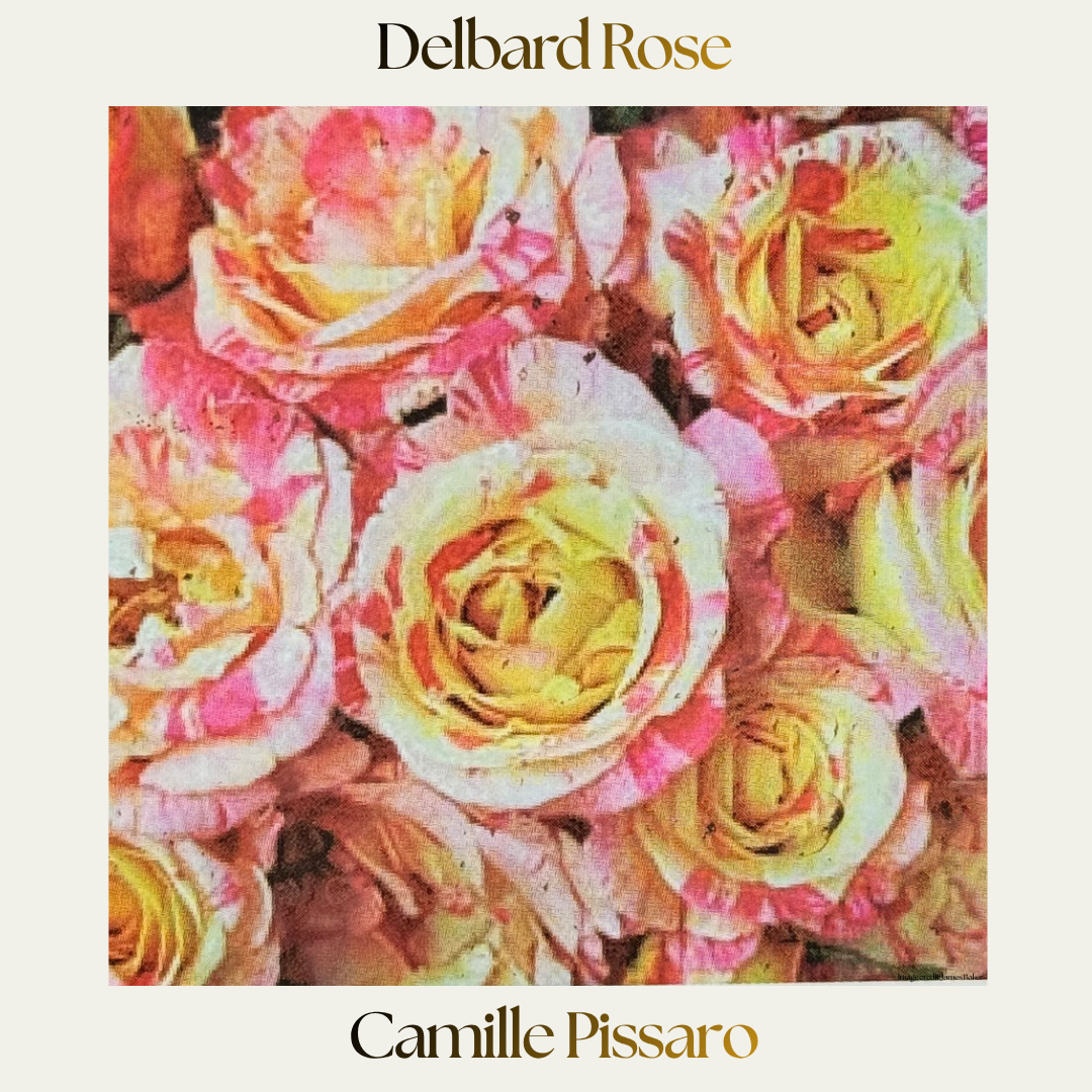 Delbard - Camille Pissarro