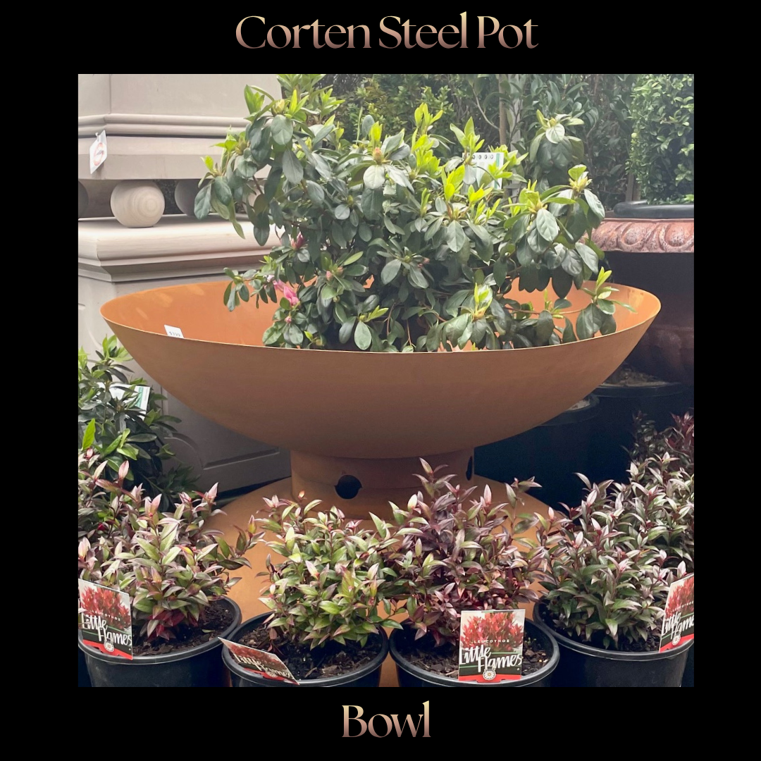 Corten Steel Pot — Bowl