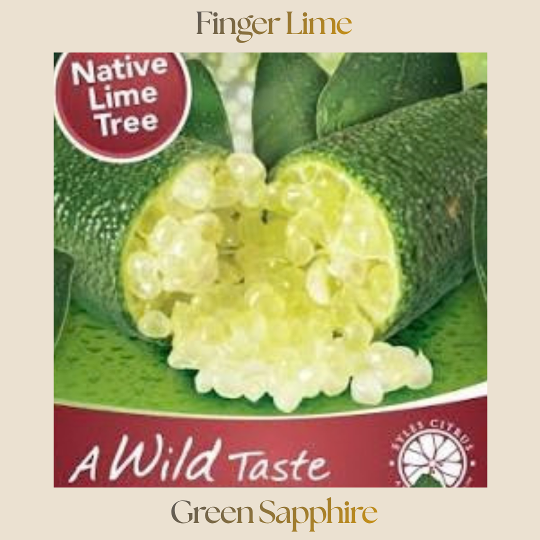 Citrus — Green Sapphire