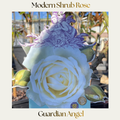 Modern Shrub — Guardian Angel