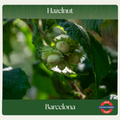 Hazelnut — Barcelona