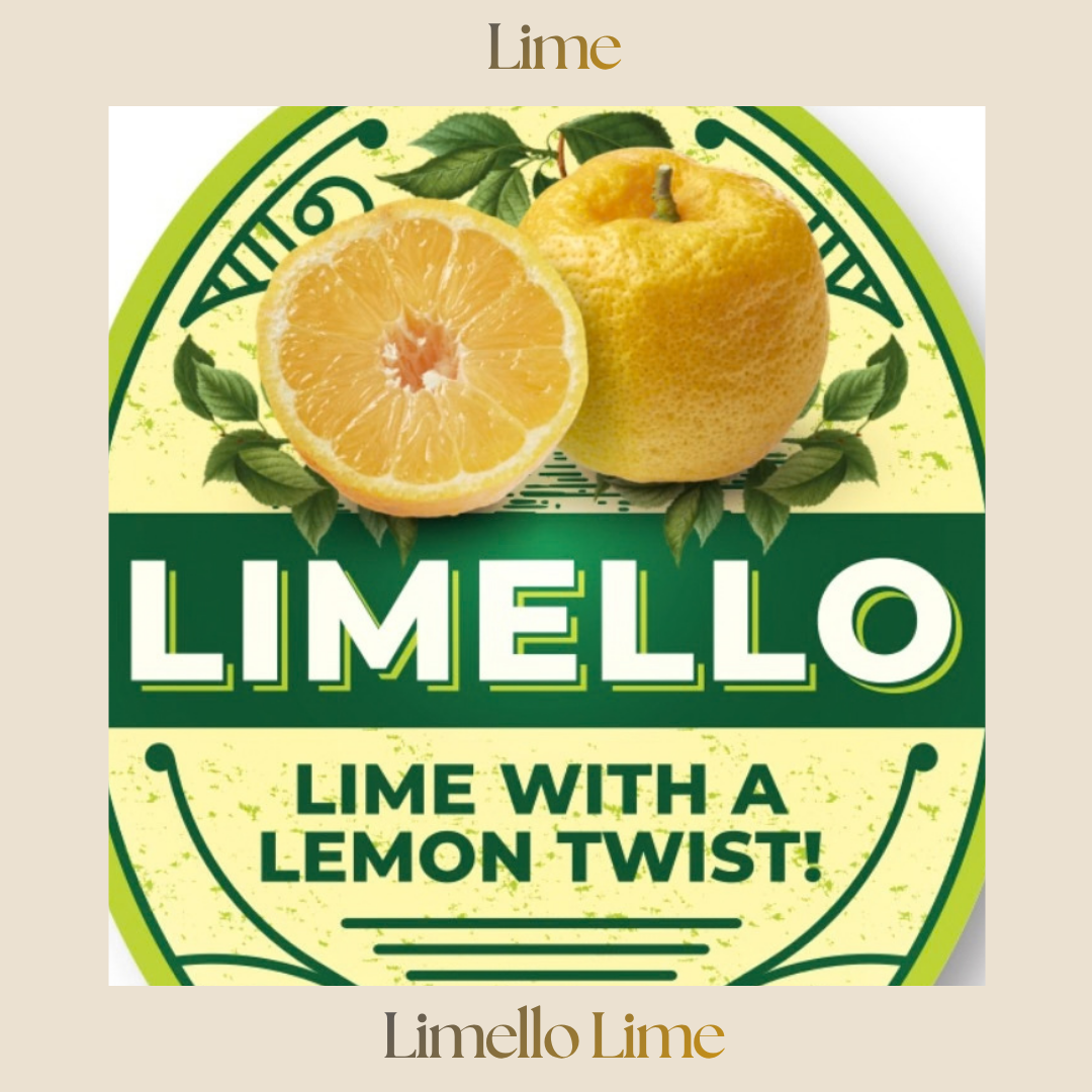 Citrus — Limello