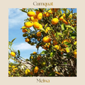 Citrus — Meiwa