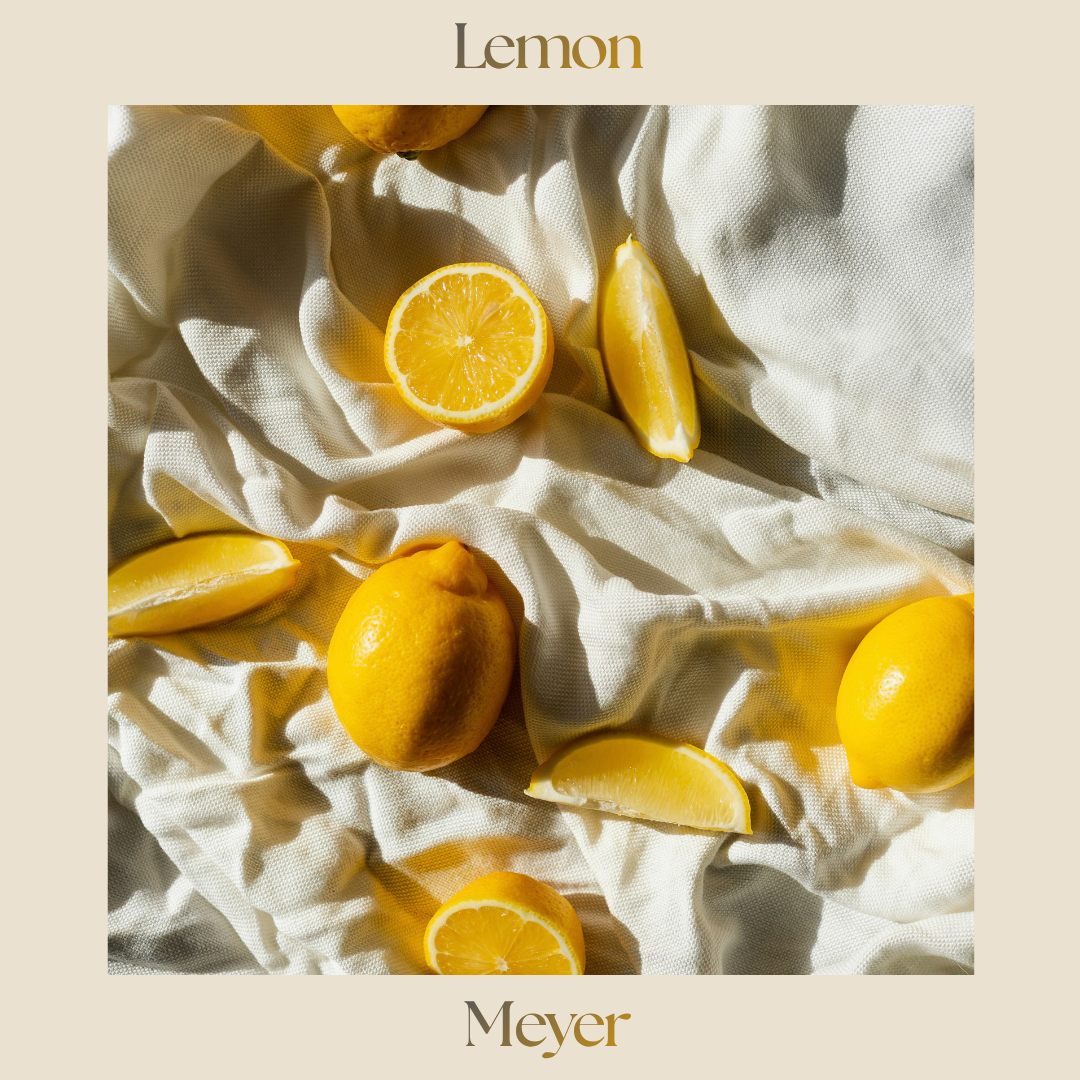 Citrus — Meyer Lemon
