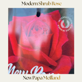 Modern Shrub — New Papa Meilland