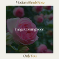 Modern Shrub — Only You