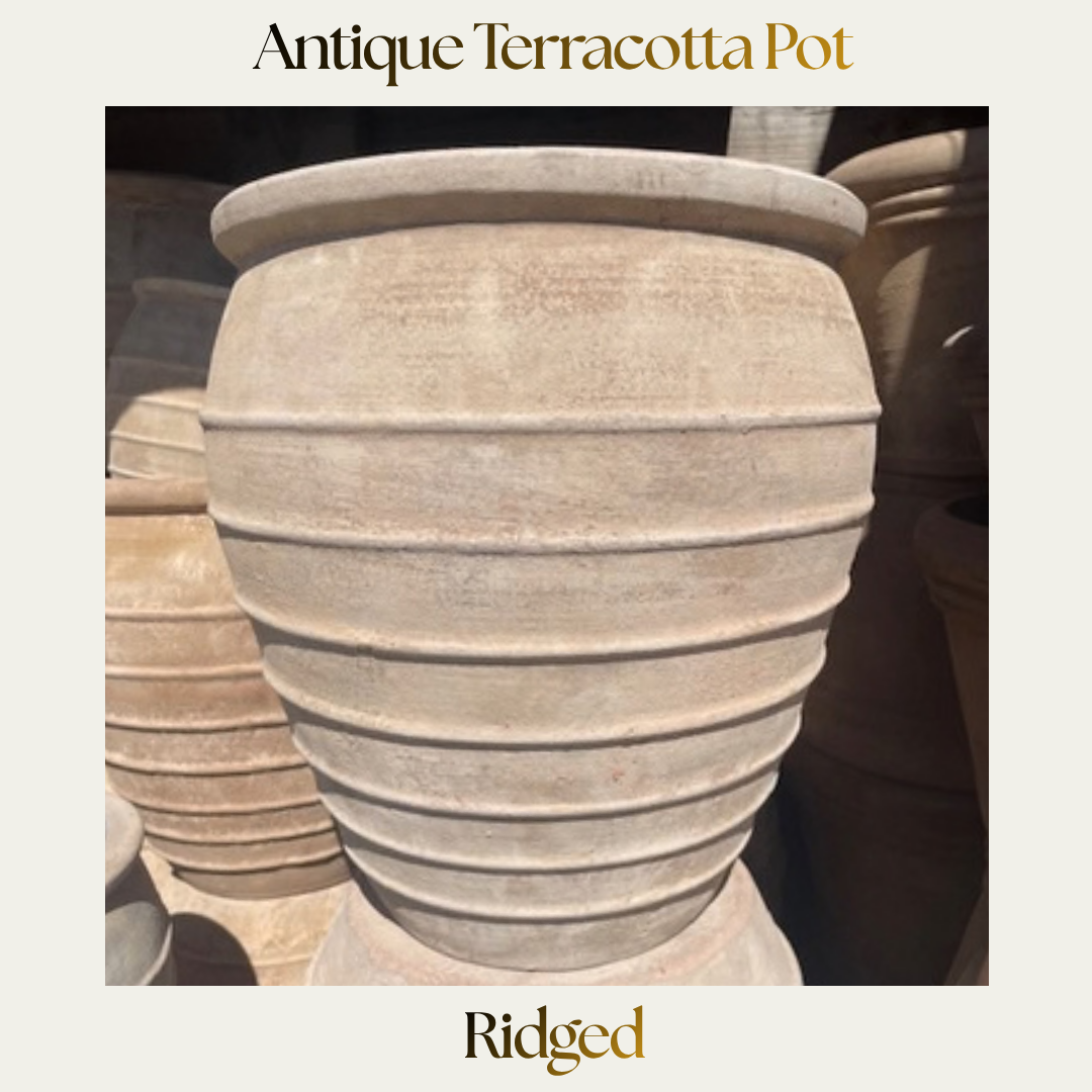 Ridged Antique Egg-shaped Terracotta Pot