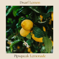Citrus — Dwarf Lemonade Lemon