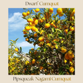 Citrus — Dwarf Nagami Cumquat