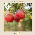 Citrus — Pomegranate 'Angel Red'