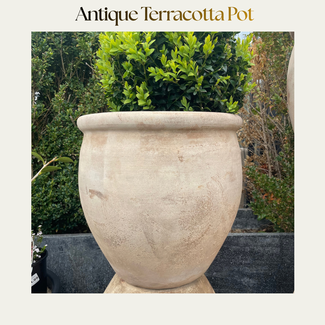 Modern Antique Terracotta Pots — Egg-shaped