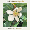Little Princess Magnolia — Princess Cinderella