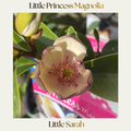 Little Princess Magnolia — Little Sarah