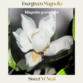 Magnolia — Sweet n Neat