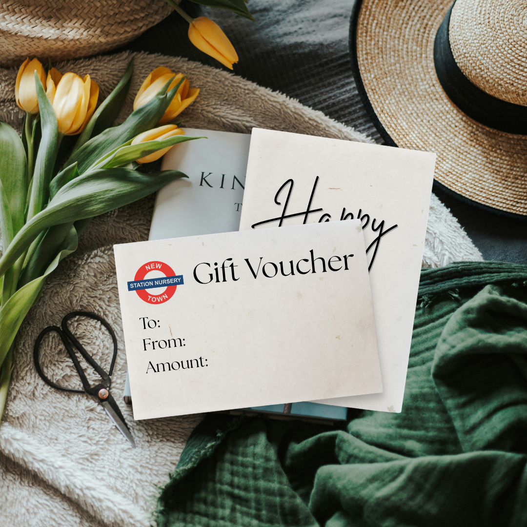 New Town Station Nursery Gift Voucher